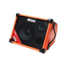 Acoustic Guitar Amplifier, 100
