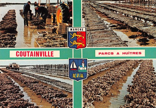 Gouville sur - 50-gouville,