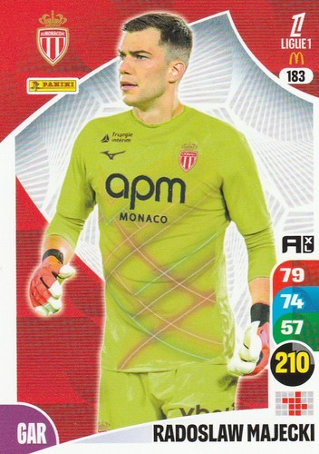 183 carte foot - -, panini