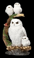 Figure Hiboux - Schneeeulen