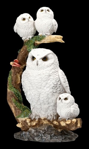 Figure hiboux schneeeulen - hiboux,