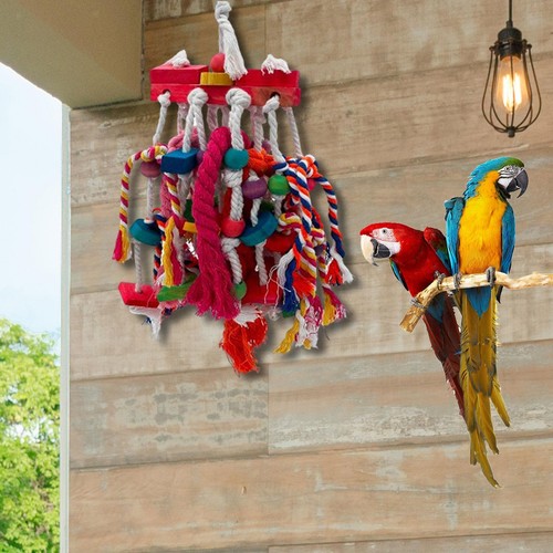 Oiseau mâcher jouet en - à,