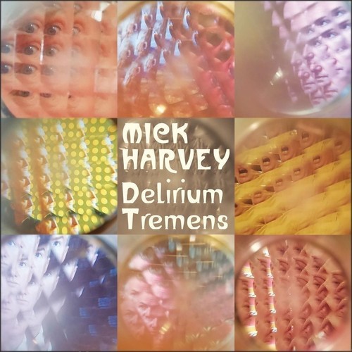 Audio mick harvey - cd,