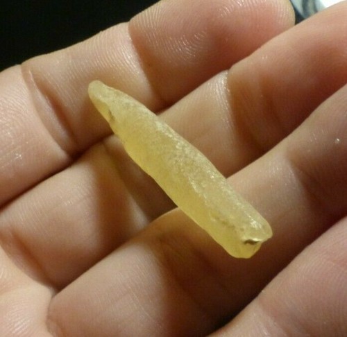 Fossile pipe belemnite - o&co,