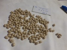 Lot 200 perles en - de,