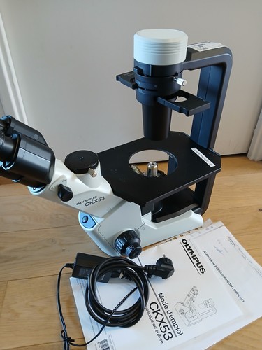 Microscope olympus ckx - ckx, 53