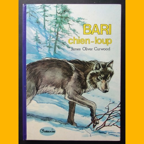 Bari chien loup james - chien-loup, oliver