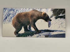 Nestlé MERVEILLES DU MONDE Carte N°356 "l'ours" c