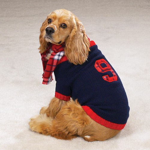 Navy english rugby dog sweater - navy,