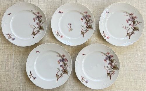 Assiettes plates 5 - 5, d