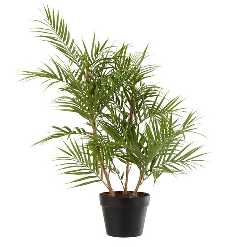 Plante artificielle palmier - plante, "palmier