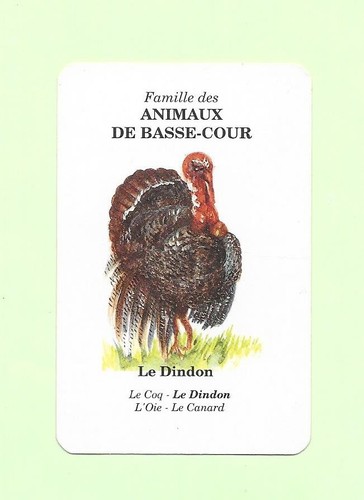 Carte elf antar - -, animaux