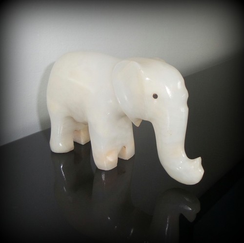 Eléphant blanc onix - eléphant, en