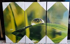 Tableau triptyque végétal