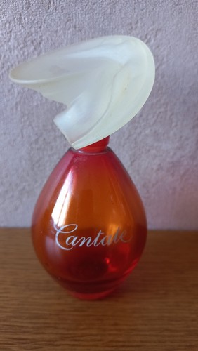 Grand flacon vide 100ml - vide,
