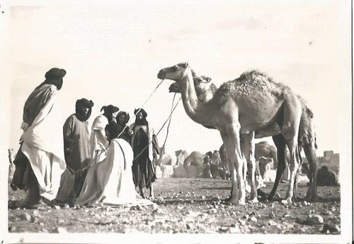 Carte postale portrait maroc - carte,