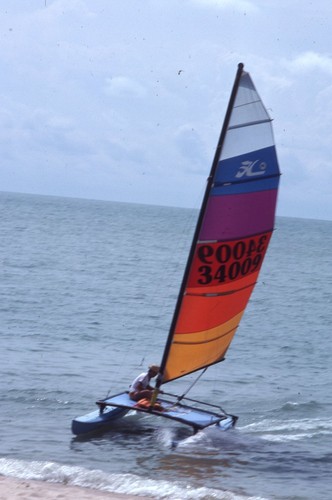 1981 hobie cat - 1981, catamaran
