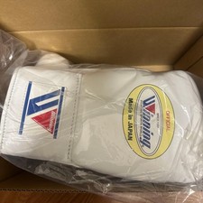 Gants de boxe gagnants MS-300