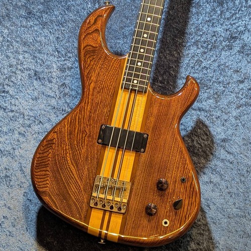Aria pro guitare basse - pro, ii]
