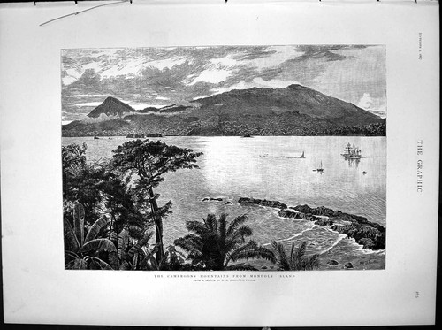 Old antique print cameroons - old,