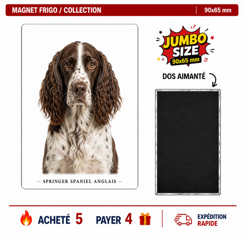 Magnet springer spaniel - magnet,