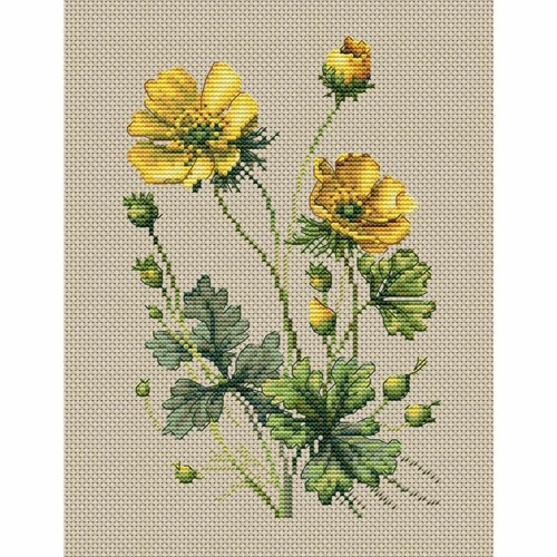 Kit broderie point de - au,