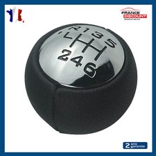 Pommeau de Vitesse 6