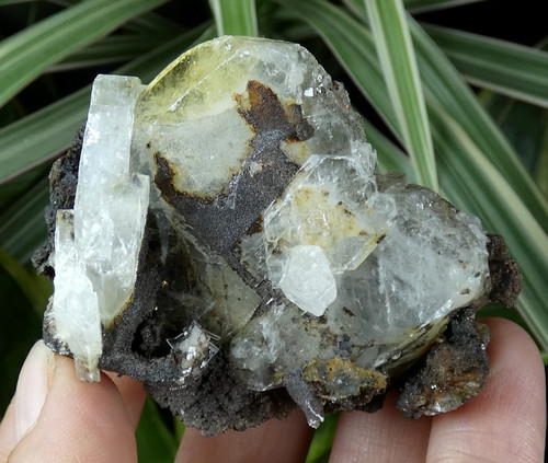 Baryte transparent jaune - à,