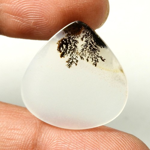 Scenic shazar dendrite agate - shazar,