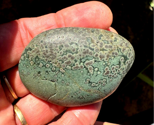 Grosse variolite roche - 58,