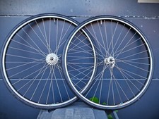 WS Wolber GTX 2 622 paire de