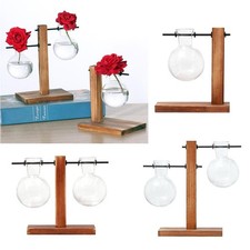 Terrarium Végétal avec Support En Bois Vases à Ampoule Hydroponique En Verre