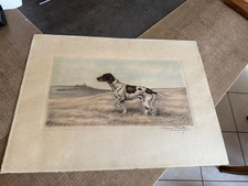 ANCIENNE LITHOGRAPHIE Maurice Brailly CHIEN DE CHASSE