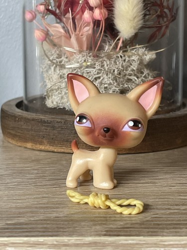 🌟🌟Petshop chien