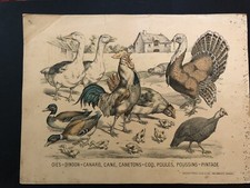 Image originale Pellerin