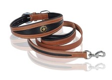 Collier robuste pour chien en