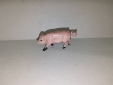 ACEDO ferme cochon de lait