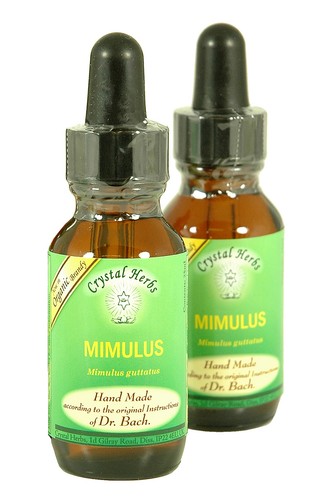 25ml fleurs bach remède - de,
