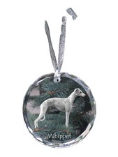 Whippet, Petit Anglais