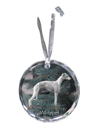 Whippet petit anglais - whippet,,