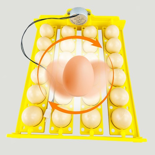 Incubateur caille oie - caille,
