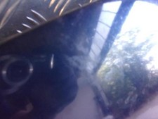 Capot VOLKSWAGEN PASSAT 5