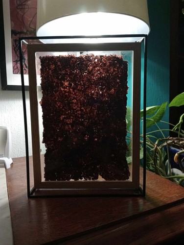 Vitrine design deco - , verre