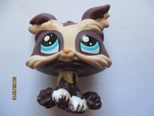 PETSHOP CHIEN YORKSHIRE