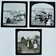 3 PHOTOS SUR PLAQUE DE VERRE