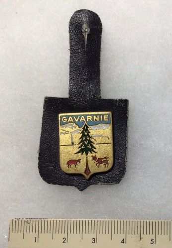 Insigne émaillé armes - insigne,