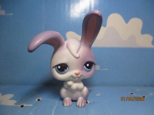 Petshop lapin garenne - petshop,