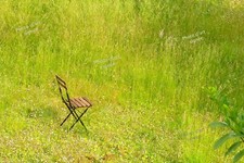 Photo d'art signée Michel Bourdais, jardin d'été, 40x60cm, papier photo 295g/m²