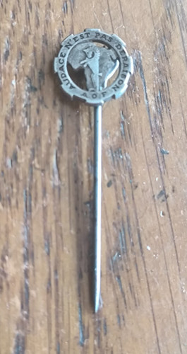 Insigne epinglette rca - 12°,