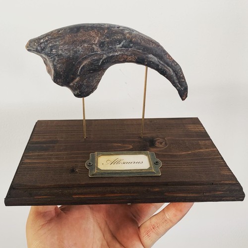 Griffe dinosaure allosaure - griffe,